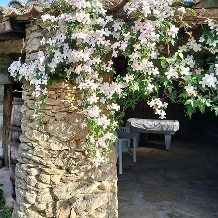 Villa Pájaro Pinto *